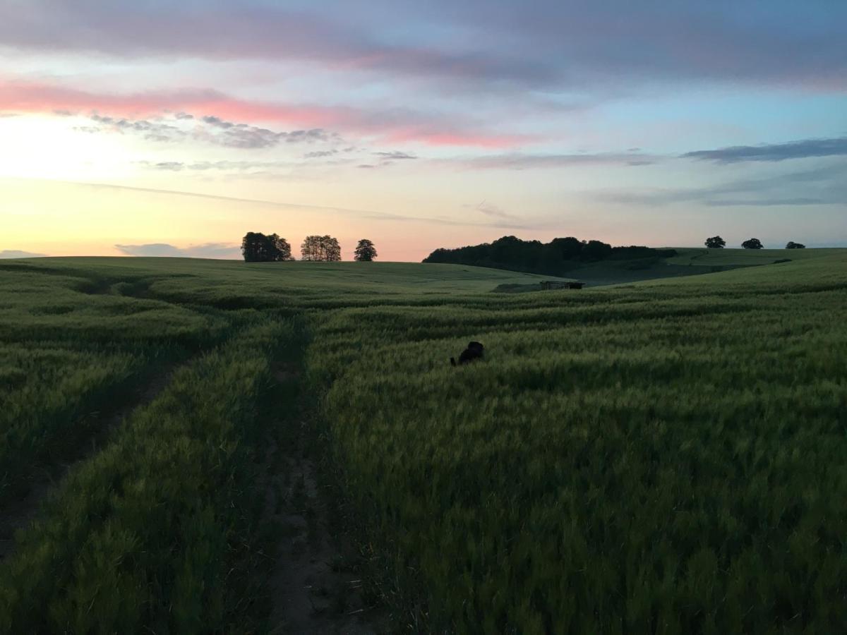 Broockhof Ferienwohnung Unterm Sternenhimmel In Mecklenburg Reimershagen Dış mekan fotoğraf